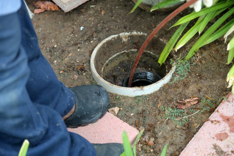 Septic Tank Dye Testing